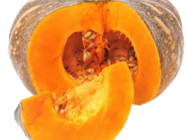 PUMKIN 